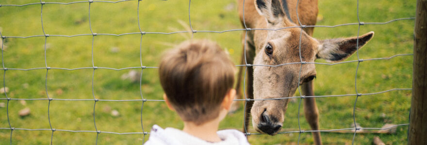 zoo vienne